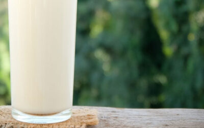 Should You Be Avoiding Dairy? What the Science Says