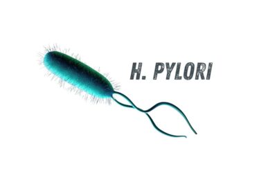 Advanced Gut Health: How to Handle H. Pylori