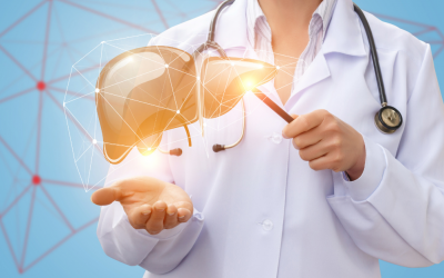 Support Your Liver for Better Health and Improved Energy