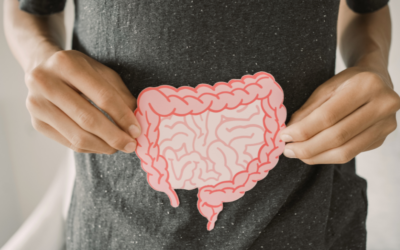 The Gut-Brain Connection + Common Gut Health Concerns
